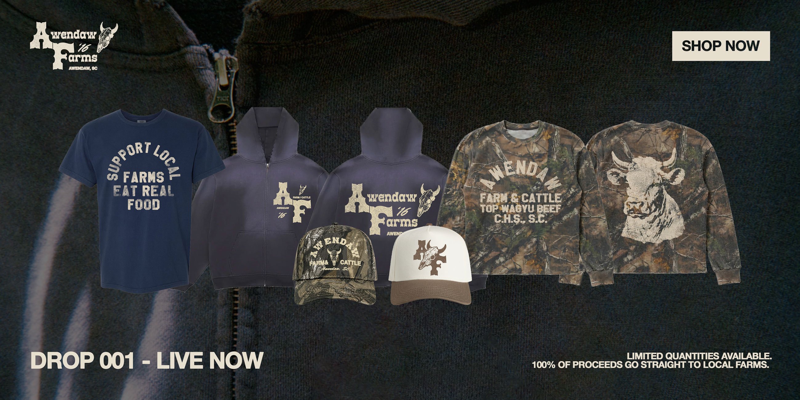 AF-Lake-Website-Banner-01