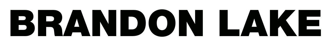 Logo - Brandon Lake - Black